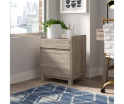 Margo Gray 2-Drawer Filing Cabinet -Home Furniture Store 810386285 A8 11