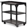Sherlock Rolling Server Cart 2 Sherlock Rolling Server Cart -Home Furniture Store 810423041 2