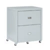 Kari Gray 2-Drawer Rolling Filing Cabinet -Home Furniture Store 810543238 1