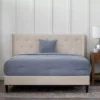 Isabelle Cream Upholstered Twin Wingback Bed -Home Furniture Store 810547603 810547607 810547628 810547611 1